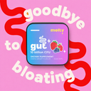 Melty Digestive Gut Health Strips